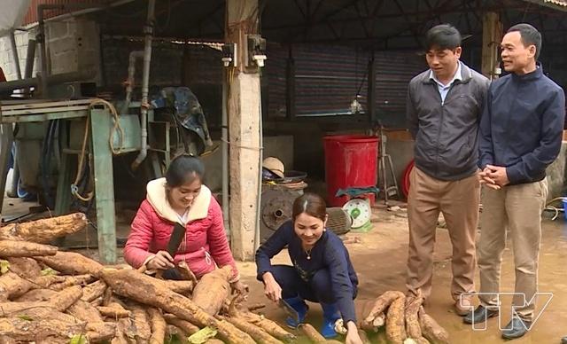 Hiệu quả từ sản xuất, chế biến sắn d&acirc;y