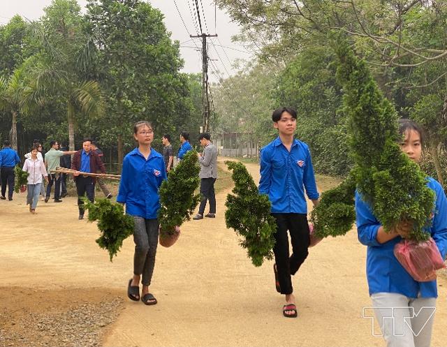 Đoàn viên thanh niên mang cây ra địa điểm trồng