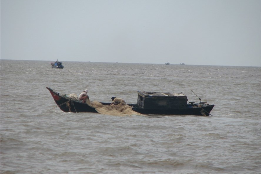 Ngư dân Tiền Giang đánh bắt cá trên biển. Ảnh minh họa K.Q