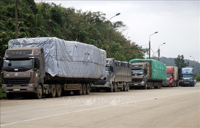 Kích thước giới hạn khi xếp hàng hóa trên xe được quy định cụ thể tại Thông tư số 46/2015/TT-BGTVT Ảnh minh hoạ: TTXVN
