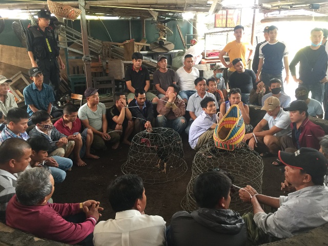 Các đối tượng cá cược bằng hình thức đá gà bị bắt quả tang.