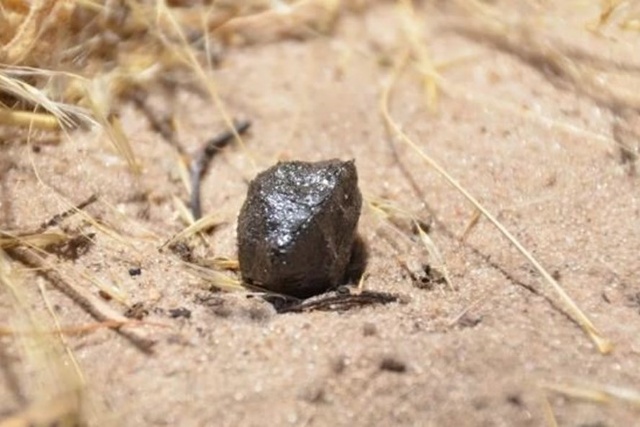Mảnh vỡ thiên thạch 2018 LA ở Botswana. Ảnh: Viện SETI.