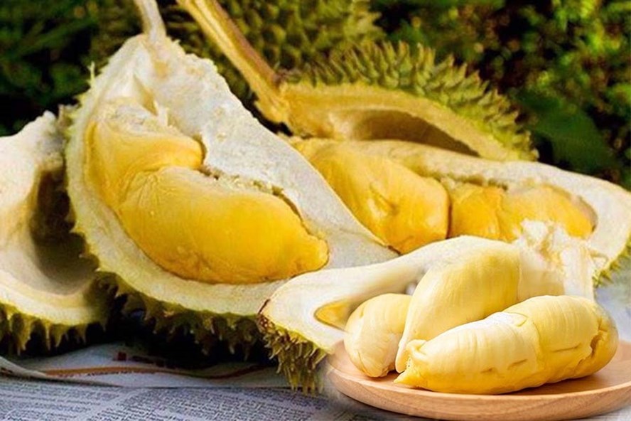 Lợi ích của sầu riêng đối với sức khoẻ. Đồ hoạ: Vy Vy