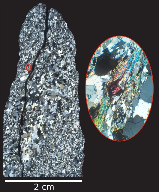 Một lát mỏng, được đánh bóng của tảng đá thu thập từ Jack Hills ở Tây Australia. Ảnh: Smithsonian.