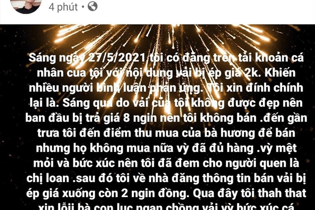 Nam thanh niên đưa thông tin sai sự thật về việc người dân ở huyện Lục Ngạn, tỉnh Bắc Giang bị ép giá vải thiều sớm. Ảnh: CACC