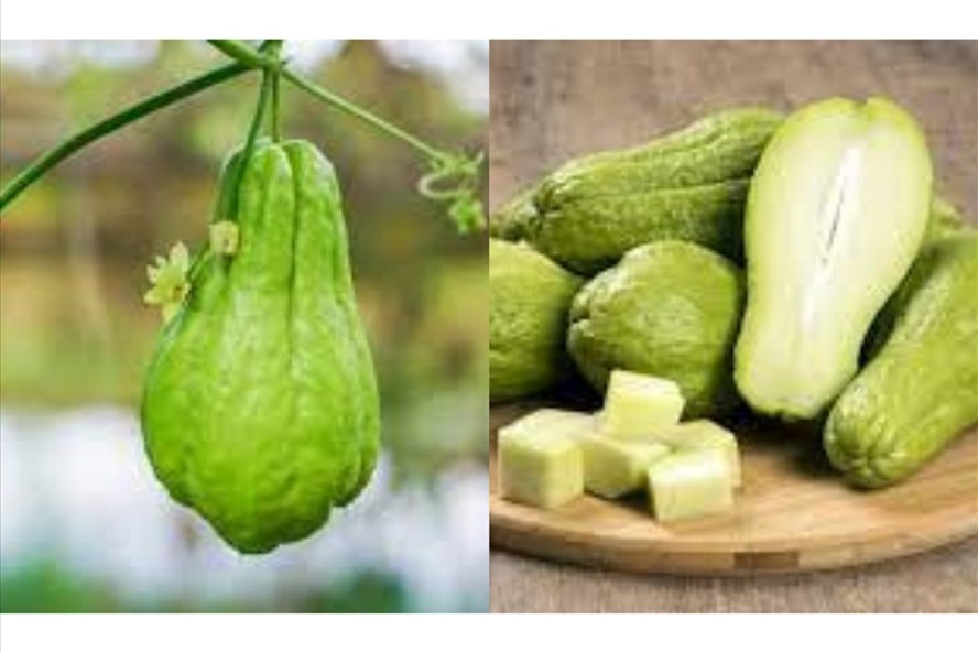 Su su mang lại nhiều lợi ích cho sức khỏe như: giảm cân, tốt cho phụ nữ mang thai. Đồ hoạ: Thanh Ngọc