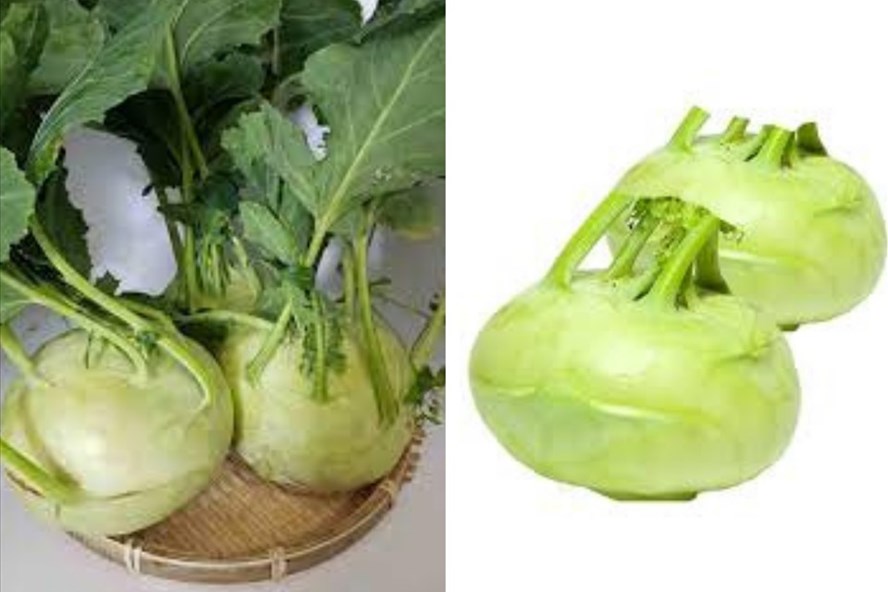 Su h&agrave;o mang lại nhiều lợi &iacute;ch cho sức khỏe như: chống lại bệnh ung thư, tiểu đường v&agrave; cải thiện chức năng của gan. Đồ hoạ: Thanh Ngọc