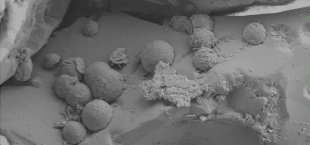 Phóng đại bề mặt thiên thạch bằng kính hiển vi điện tử. Ảnh: Loughborough University