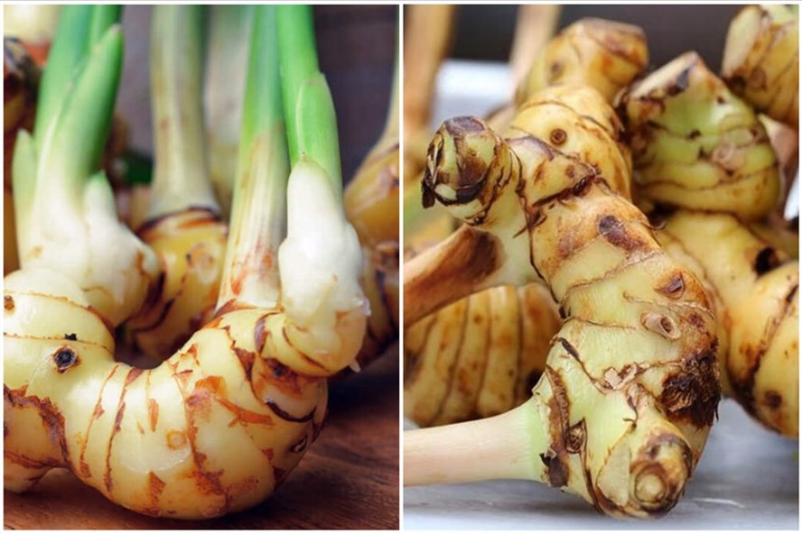 Củ riềng mang lại nhiều lợi ích cho sức khỏe. Đồ họa: Thanh Ngọc