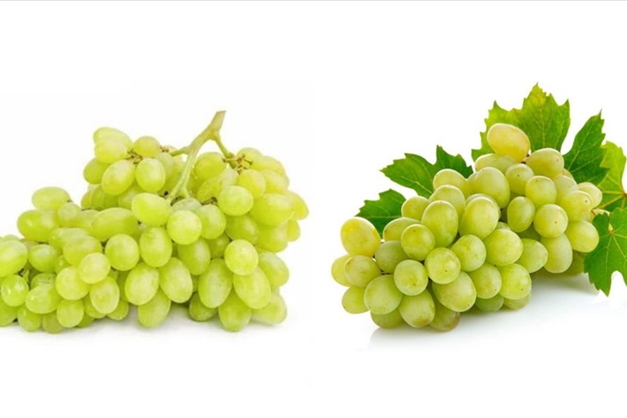 Quả nho rất gi&agrave;u vitamin v&agrave; kho&aacute;ng chất, gi&uacute;p chống lại l&atilde;o h&oacute;a, duy tr&igrave; độ đ&agrave;n hồi cho da. Đồ họa: Thanh Ngọc