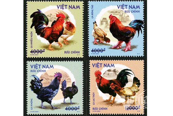 4 mẫu của bộ tem “Gà bản địa Việt Nam &quot;