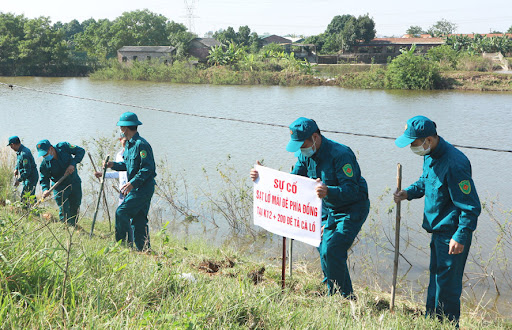 Ảnh minh họa