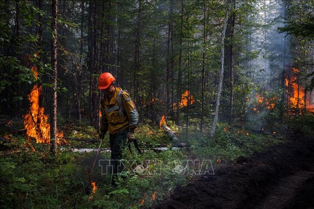 Nhân viên bảo vệ rừng nỗ lực khống chế các đám cháy rừng ở Yakutia , Siberia, Nga, ngày 26/7/2021. Ảnh: AFP/TTXVN