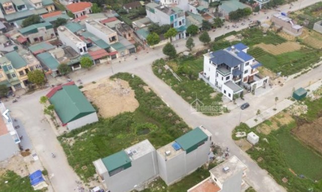 Ảnh minh họa.