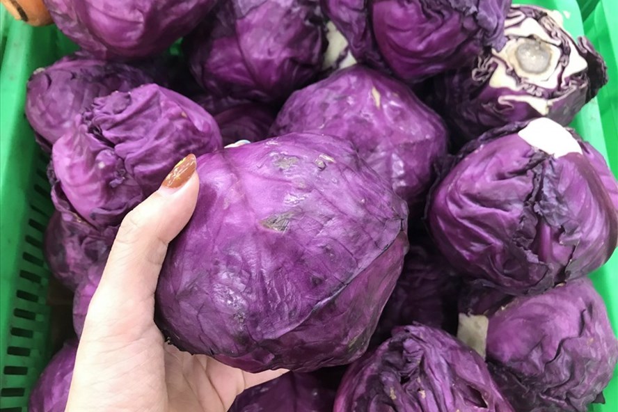 Bắp cải tím giàu lycopene, mang lại nhiều lợi ích cho sức khỏe. Ảnh: Thanh Ngọc