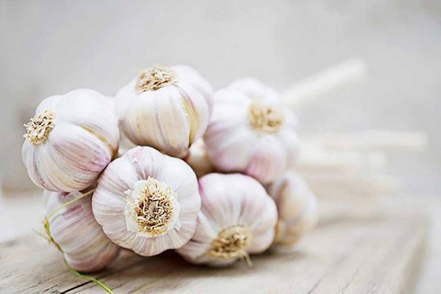 Vì sao tỏi ngâm mật ong lại tốt cho sức khỏe Vì sao tỏi ngâm mật ong lại tốt cho sức khỏe
