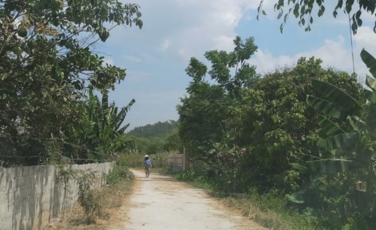 Ảnh minh họa.