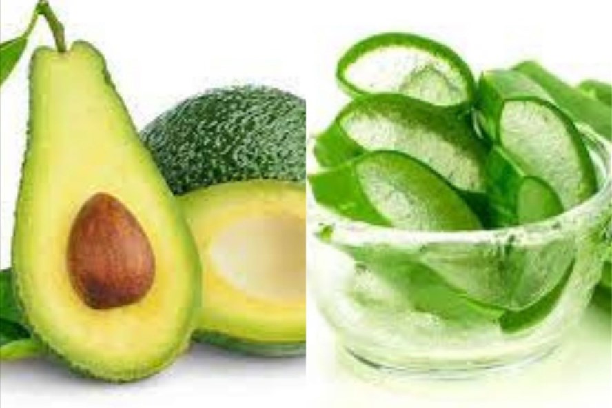 Sinh tố bơ v&agrave; nha đam mang lại nhiều lợi &iacute;ch đối với sức khỏe. Đồ họa: Thanh Ngọc