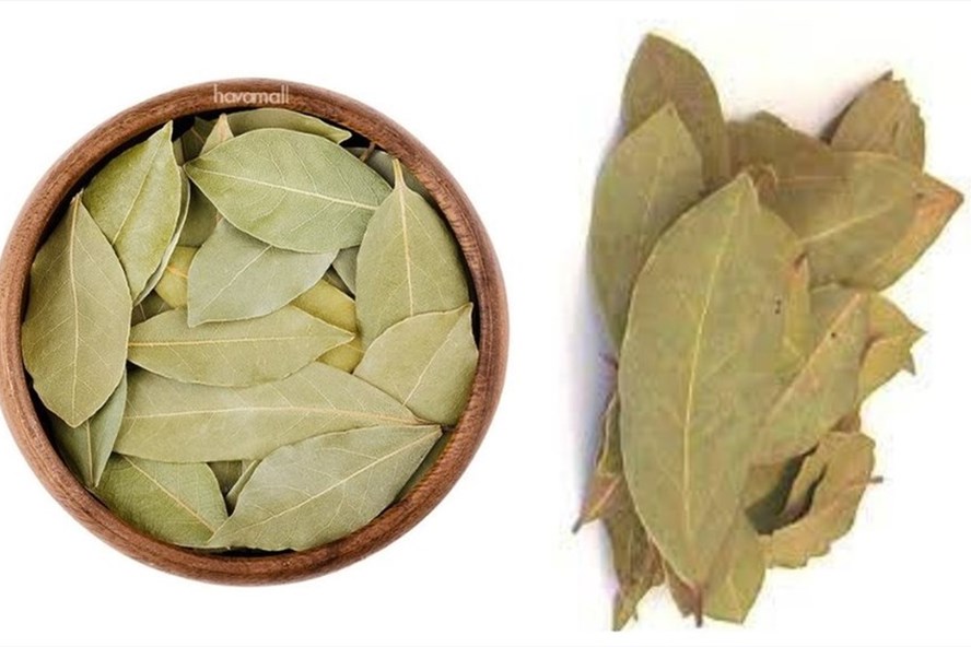 Lá nguyệt quế mang lại nhiều lợi ích cho người bệnh tiểu đường. Đồ họa: Thanh Ngọc