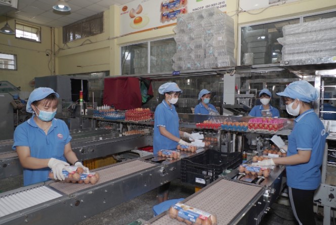 VFood khẳng định vẫn duy trì sản lượng trứng gia cầm như cao điểm Tết mọi năm và cố gắng giữ giá bán dù giá nguyên liệu tăng cao. Ảnh: VGP/Băng Tâm