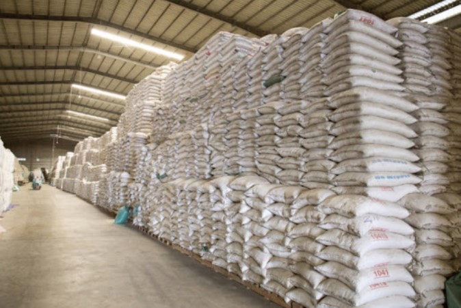 Hỗ trợ hơn 4.880 tấn gạo cho 3 tỉnh Hòa Bình, Hà Tĩnh, Sóc Trăng
