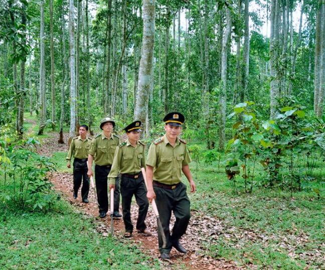 Ngạch kiểm lâm viên chính được áp dụng hệ số lương công chức loại A2, nhóm A2.1