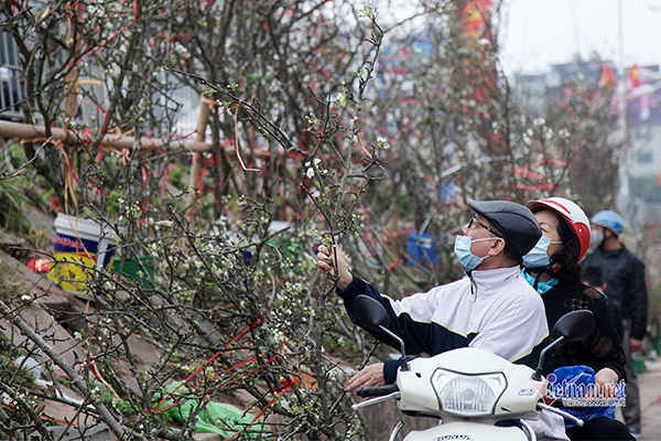 Dự b&aacute;o miền Bắc r&eacute;t k&egrave;m mưa nhỏ dịp Tết Nguy&ecirc;n đ&aacute;n. Ảnh: L&ecirc; Anh Dũng