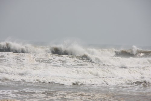 Ảnh minh họa. Nguồn: Internet.