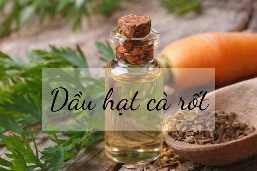 Dầu hạt cà rốt mang lại nhiều lợi ích cho sức khỏe. Đồ họa: Thanh Ngọc