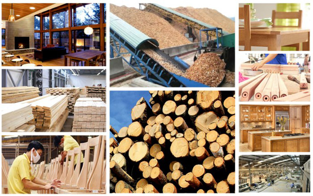 Đề án đặt mục tiêu giá trị xuất khẩu gỗ và lâm sản đạt 20 tỷ USD vào năm 2025