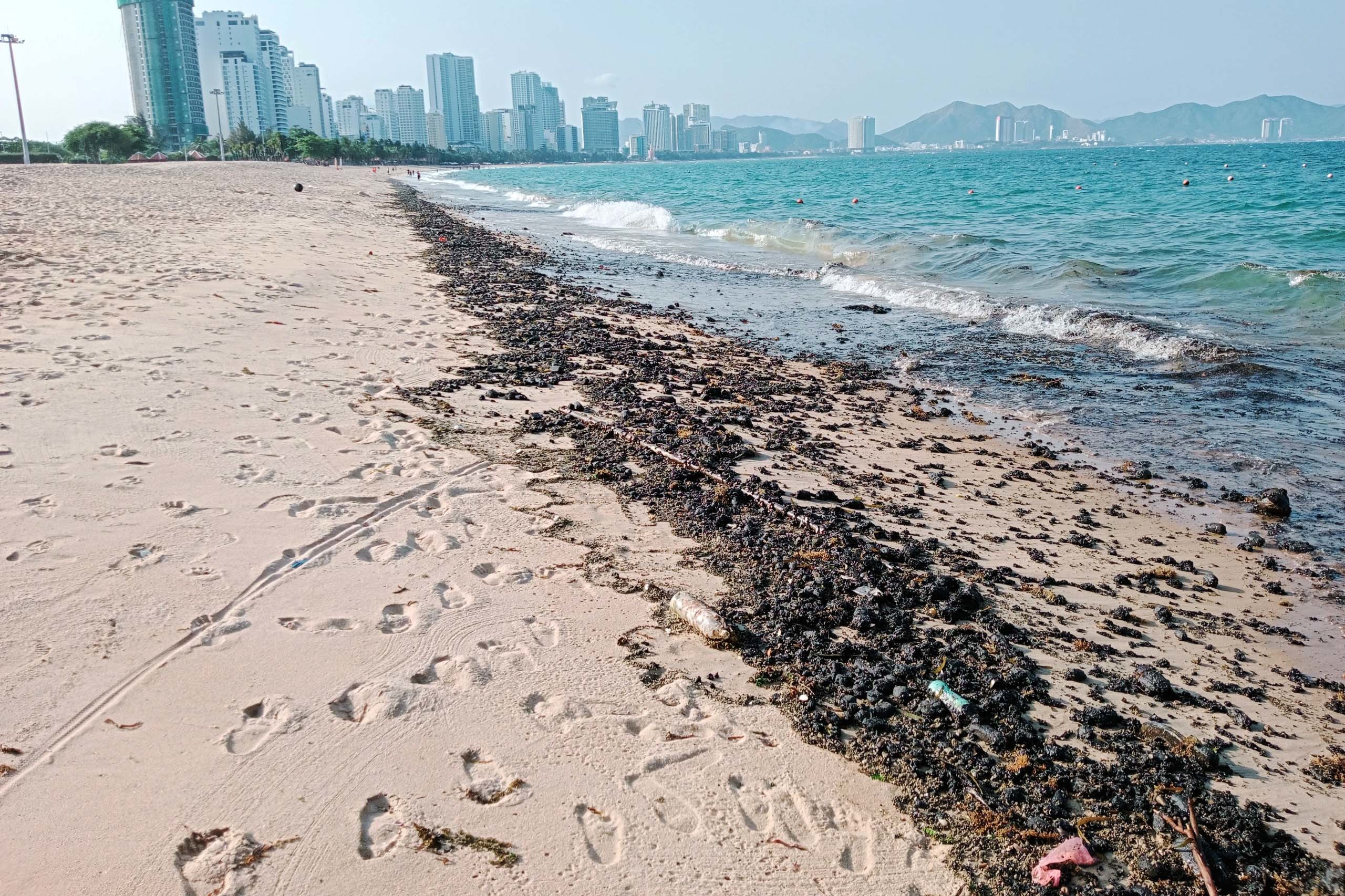 Dầu vón cục theo sóng biển trôi vào bờ.