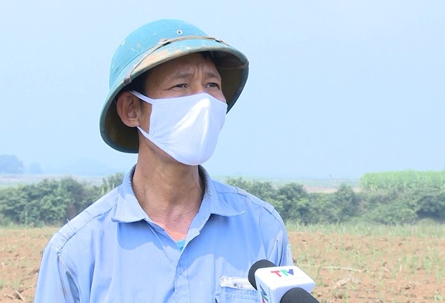 &Ocirc;ng Trương Văn Tạo, th&ocirc;n Vọng Thủy, x&atilde; Th&agrave;nh Trực, huyện Thạch Th&agrave;nh, tỉnh Thanh H&oacute;a: Ch&uacute;ng t&ocirc;i rất phấn khởi khi gi&aacute; m&iacute;a tăng. Điều n&agrave;y sẽ gi&uacute;p ch&uacute;ng t&ocirc;i y&ecirc;n t&acirc;m đầu tư ph&aacute;t triển c&acirc;y m&iacute;a để n&acirc;ng cao hiệu quả.