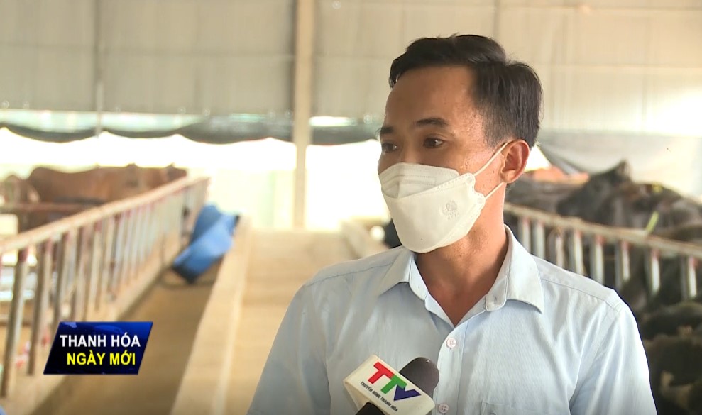 Ông Nguyễn Đăng Tú - Thôn 7, xã Thọ Vực, huyện Triệu Sơn, tỉnh Thanh Hóa: Chính quyền địa phương xuống kiểm tra định kỳ, thường xuyên, chúng tôi cũng tuân thủ dọn dẹp phân, đóng bao, để khô mục, đưa ra sản xuất, bón cho cỏ. Tiêu độc khử trùng 1 tuần làm định kỳ phun thuốc diệt muỗi, sát trùng, rắc vôi bột, thuốc men đầy đủ, vệ sinh sạch sẽ