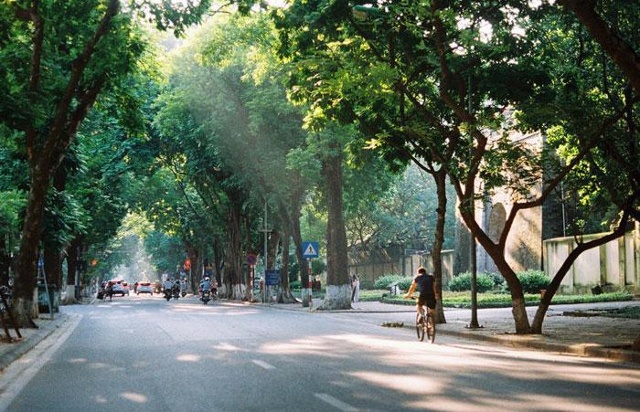 Ảnh minh họa