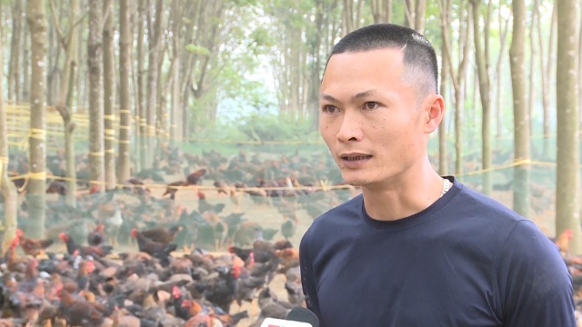 Anh Đỗ Anh Qu&acirc;n, th&ocirc;n 10, x&atilde; Quảng Ph&uacute;, huyện Thọ Xu&acirc;n, tỉnh Thanh H&oacute;a cho biết chỉ c&oacute; t&iacute;ch tụ được đất đai th&igrave; mới c&oacute; cơ sở để sản xuất lớn.