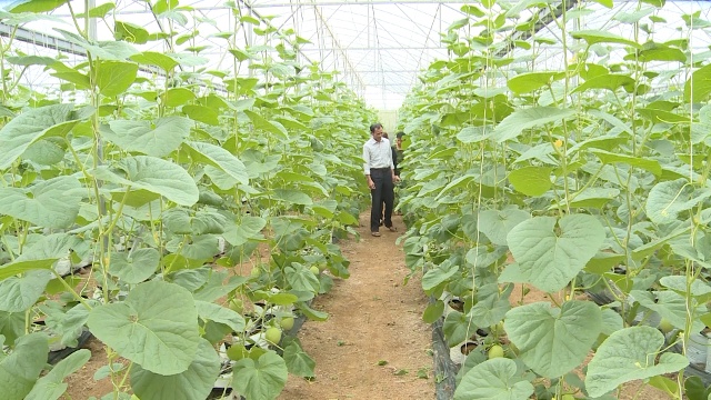 Thọ L&acirc;m l&agrave; một trong những x&atilde; l&agrave;m tốt c&ocirc;ng t&aacute;c t&iacute;ch tụ, tập trung đất đai nhằm ph&aacute;t triển c&aacute;c m&ocirc; h&igrave;nh n&ocirc;ng nghiệp c&ocirc;ng nghệ cao.