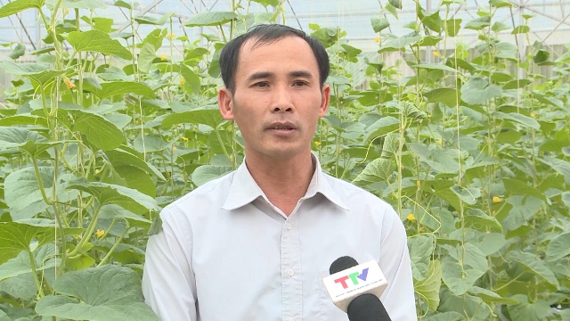 &Ocirc;ng Phạm Văn Cường, Ph&oacute; Chủ tịch UBND x&atilde; Thọ L&acirc;m, huyện Thọ Xu&acirc;n cho biết, diện t&iacute;ch đất tr&ecirc;n địa b&agrave;n x&atilde; Thọ L&acirc;m chủ yếu l&agrave; đất kh&oacute; sản xuất, b&agrave; con n&ocirc;ng d&acirc;n thường bỏ hoang, v&igrave; thế huyện đ&atilde; t&iacute;ch tụ lại v&agrave; k&ecirc;u gọi c&aacute;c doanh nghiệp, c&aacute; nh&acirc;n, hộ n&ocirc;ng d&acirc;n c&oacute; nhu cầu sản xuất n&ocirc;ng nghiệp c&ocirc;ng nghệ cao.