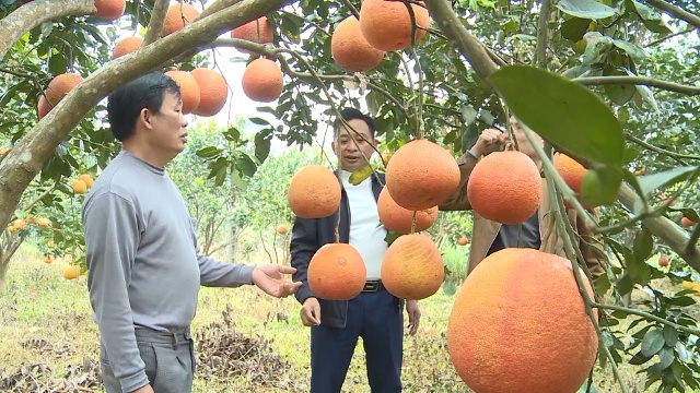 &Ocirc;ng Phạm Văn Cường, Ph&oacute; Chủ tịch UBND x&atilde; Thọ L&acirc;m, huyện Thọ Xu&acirc;n cho biết, diện t&iacute;ch đất tr&ecirc;n địa b&agrave;n x&atilde; Thọ L&acirc;m chủ yếu l&agrave; đất kh&oacute; sản xuất, b&agrave; con n&ocirc;ng d&acirc;n thường bỏ hoang, v&igrave; thế huyện đ&atilde; t&iacute;ch tụ lại v&agrave; k&ecirc;u gọi c&aacute;c doanh nghiệp, c&aacute; nh&acirc;n, hộ n&ocirc;ng d&acirc;n c&oacute; nhu cầu sản xuất n&ocirc;ng nghiệp c&ocirc;ng nghệ cao.