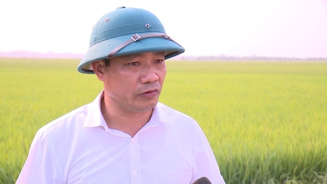 Ông Bùi Xuân Hiểu  Bí thư Đảng ủy xã Trung Chính, huyện Nông Cống  (1’20” UBND xã xác định sẽ mở rộng vùng sản xuất lúa ST 25, xây dựng vùng sản xuất OCOP, động viên nhân dân và đặc biệt là HTX sẽ mở rộng diện tích để mở rộng vùng sản xuất tập trung, nâng cao hiệu quả và đời sống kinh tế cho người dân)