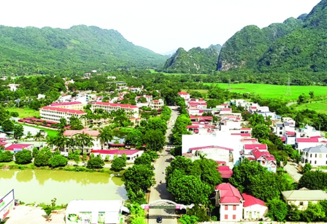 Ảnh minh họa.