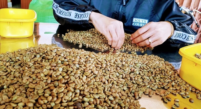 Xuất khẩu cà phê tăng 59,4% trong 4 tháng đầu năm 2022. Ảnh: Vũ Long
