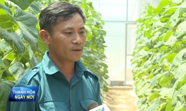Ông Nguyễn Ngọc Vụ- Thôn Thái Bình, xã Minh Tâm, huyện Thiệu Hóa, tỉnh Thanh Hóa  (5187: 01’30: Thông qua nguồn vốn vay, gia đình cũng đã thực hiện đúng cam kết, cũng như thực hiện đầu tư vào cây trồng.Gia đình chúng tôi cũng cam kết theo như hợp đồng vay ngân hàng trả lãi, trả gốc đúng kỳ hạn, không để dư nợ quá hạn đối với ngân hàng)