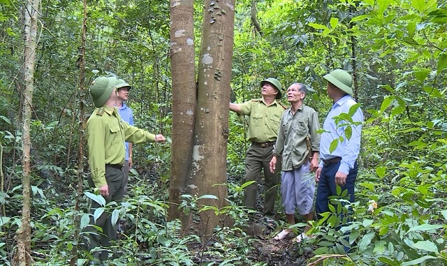 (người đứng giữa bên phải) đã bảo vệ rừng lim xanh hơn 30 năm