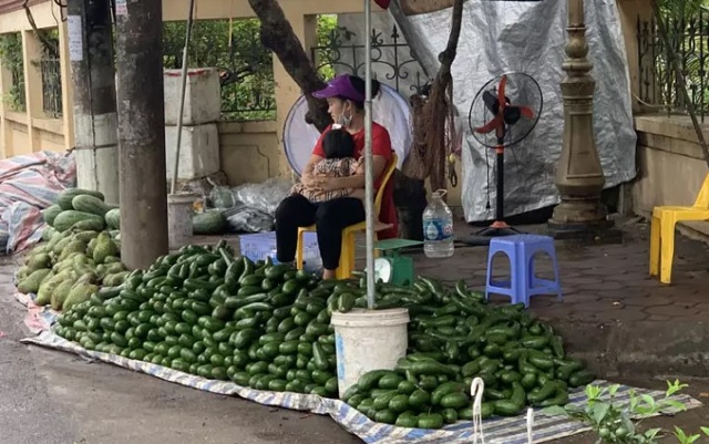 Các loại bơ được bày bán tràn ngập chợ, la liệt ở vỉa hè Hà Nội (ảnh: Châu Giang)
