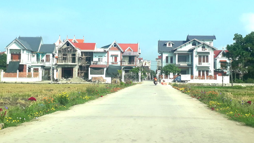 Ảnh minh họa.