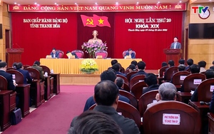 Hội nghị lần thứ 20 Ban Chấp hành Đảng bộ tỉnh Thanh Hóa khóa XIX