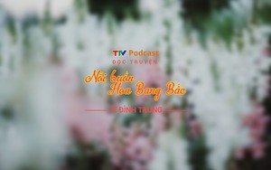 Truyện ngắn: Nỗi buồn hoa Bâng bấc | Lê Đình Trung | TTV Podcast