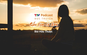 Truyện ngắn: Gốc lim cô đơn | Bùi Hữu Thược | TTV Podcast