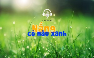 [Podcast] Nắng có màu xanh | Câu chuyện truyền thanh