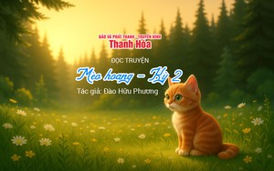 Đọc truyện: &ldquo;M&egrave;o hoang - Kỳ 2&rdquo; | Đ&agrave;o Hữu Phương | TTV Podcast